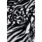 Zebra Pashmina